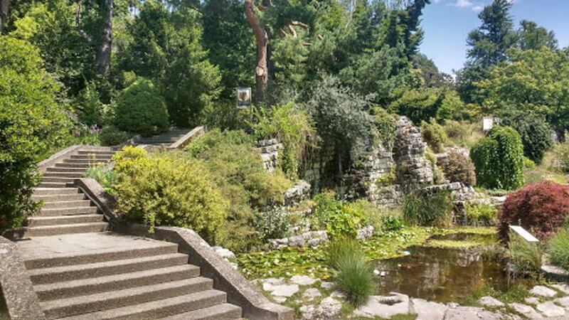 garden