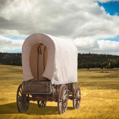 Wagon